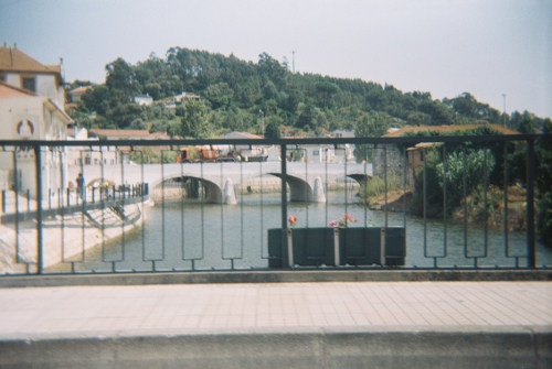 fotoanalg7