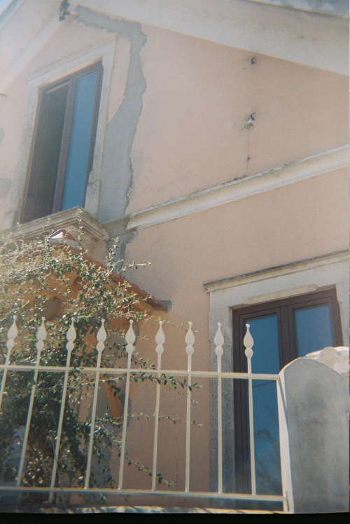 fotoanalg8