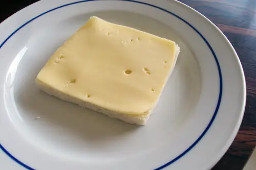 tostacogumelos3