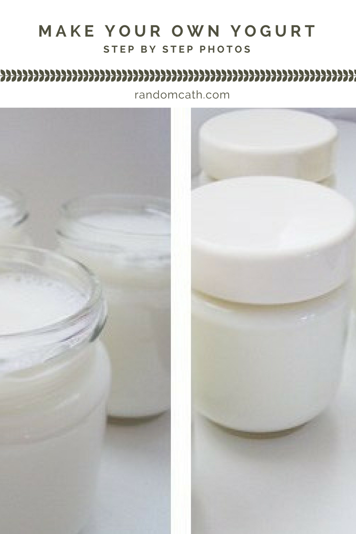 Make your own yogurt at home