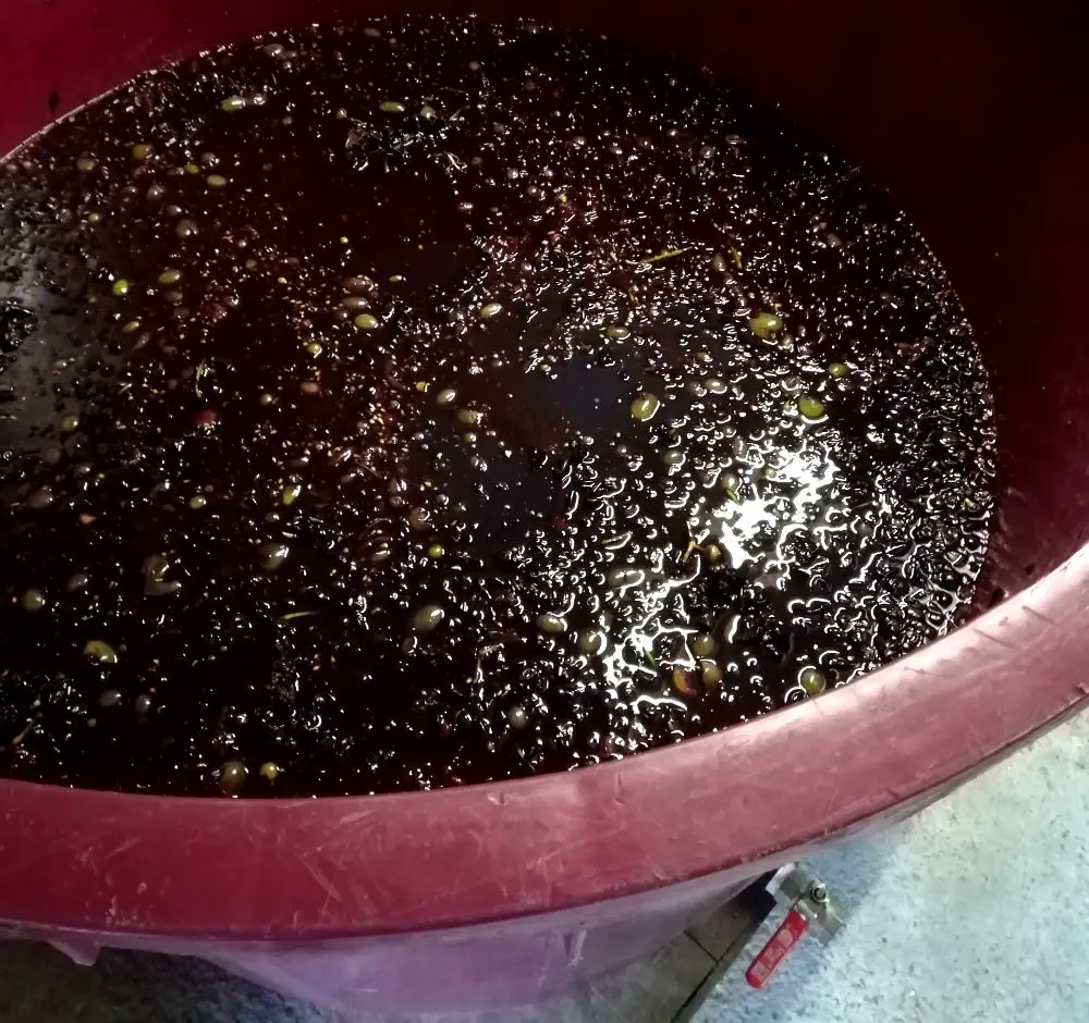 Grapes turned into liquid