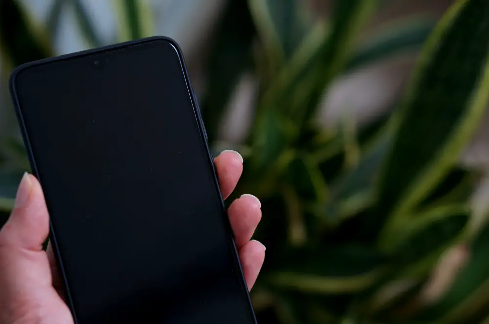 hand holding phone with plant in the back