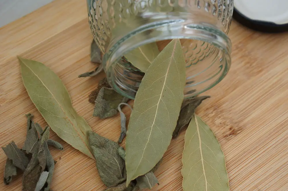 dried bay and sage leaves