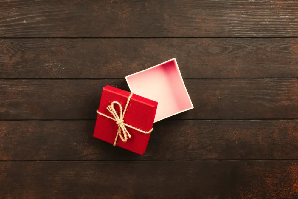 gift ideas for environmentalists:empty gift box
