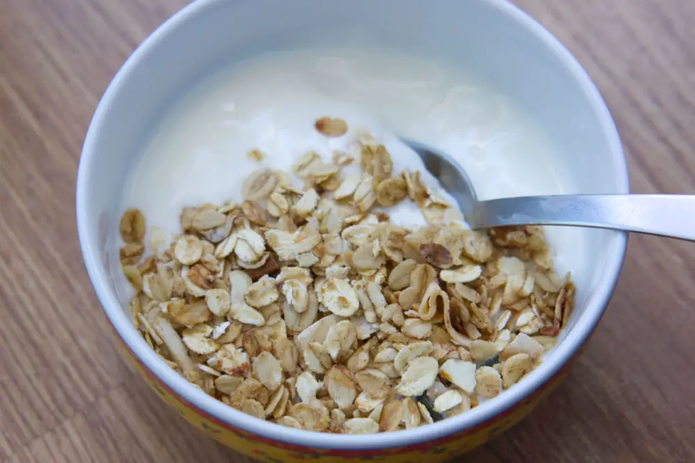 homemade yogurt with granola