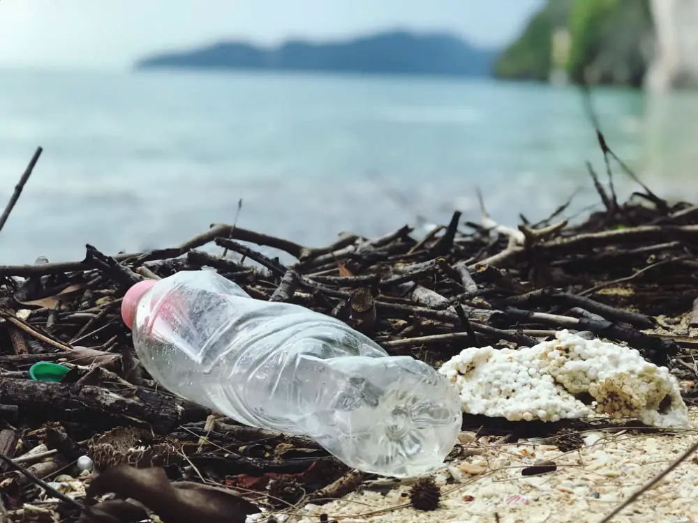 plastic bottle in beach